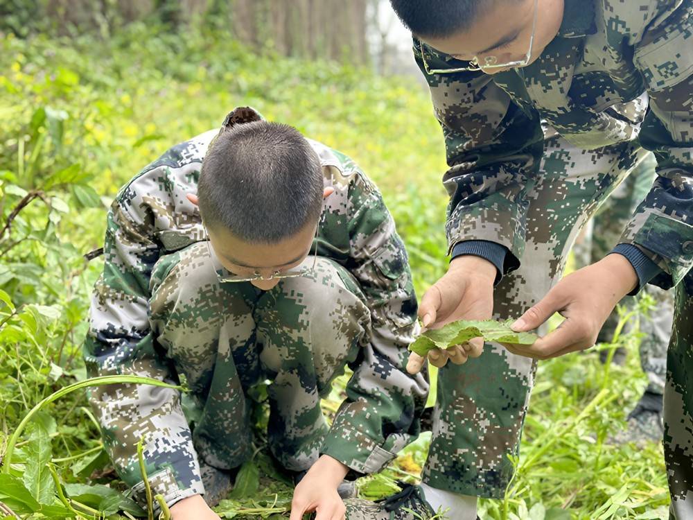 内江优质的正规叛逆教育培训基地