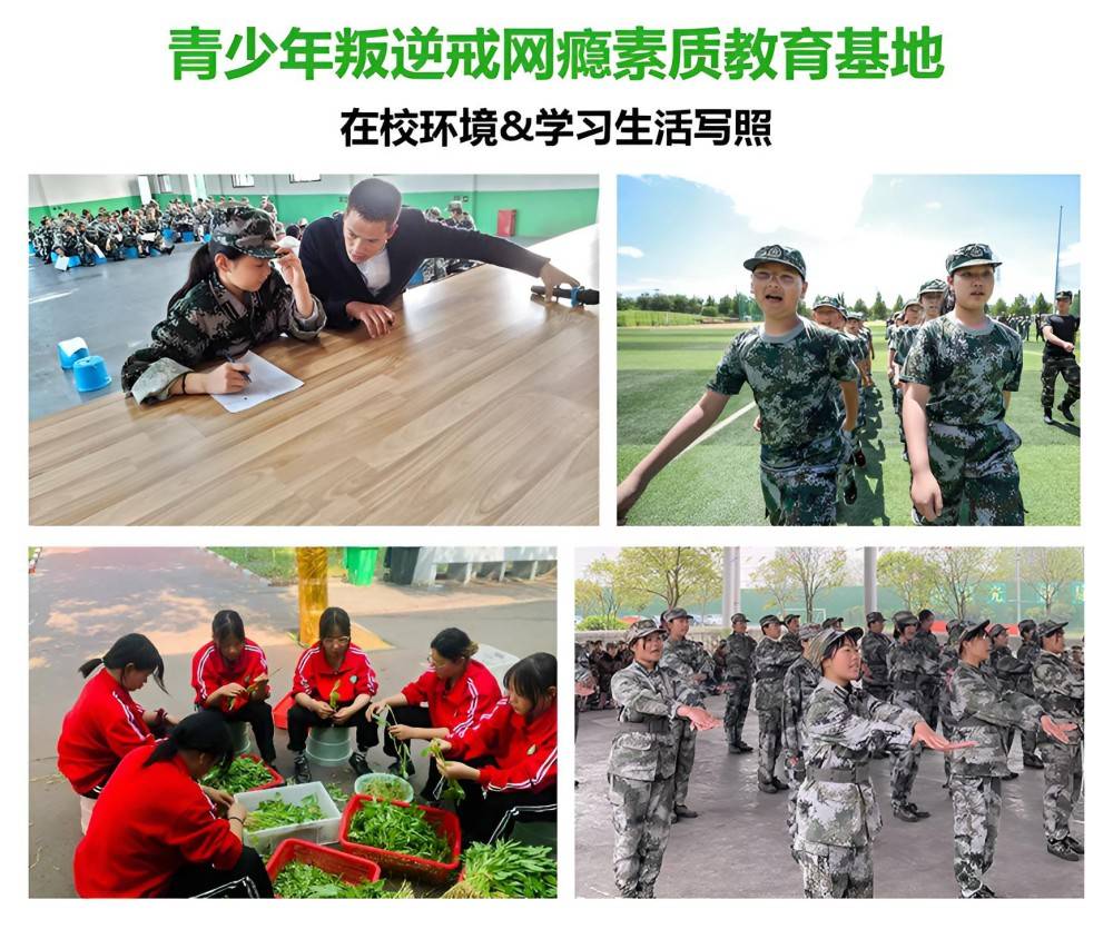 三门峡十佳青少年厌学教育机构机构名录
