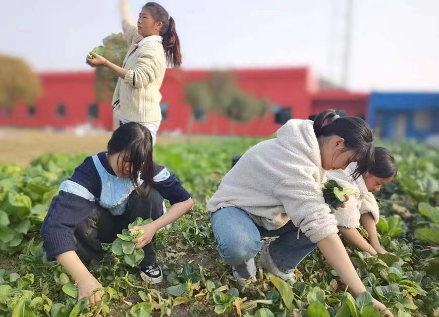 马鞍山叛逆学生学校