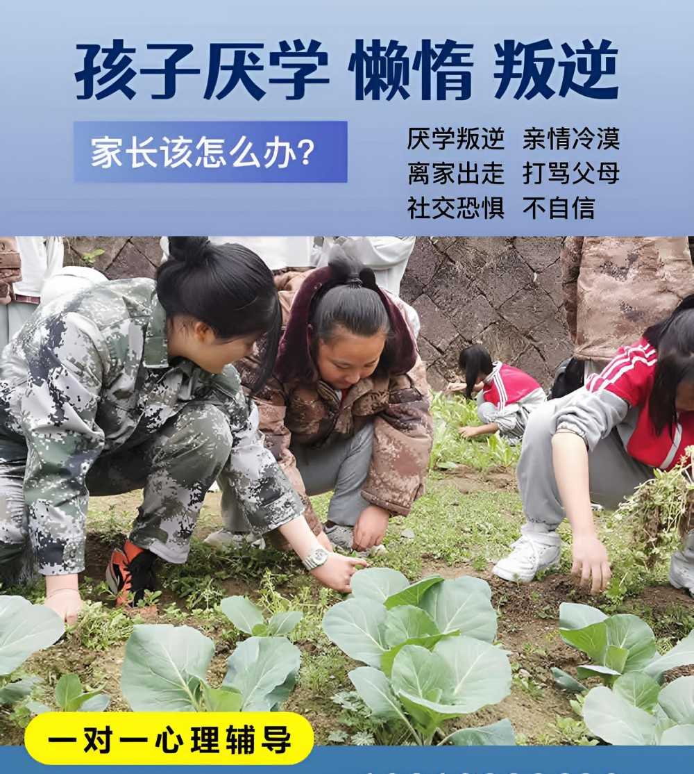丽江叛逆军事学校机构推荐